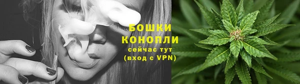 твердый Абаза