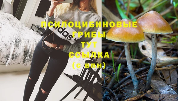 каннабис Абдулино