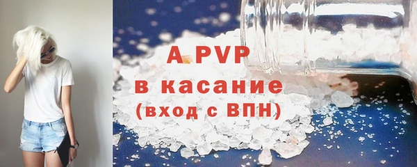 твердый Абаза