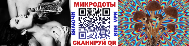 сколько стоит Уфа гидра маркетплейс Псилоцибиновые грибы Psilocybe